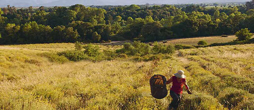 women in field